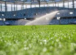 武磊海外之,旅一周年,PP电子,PP电子链接,PP电子官网地址,PP电子官方平台,PP电子入口站点