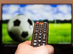 武磊海外之,旅一周年,PP电子,PP电子链接,PP电子官网地址,PP电子官方平台,PP电子入口站点