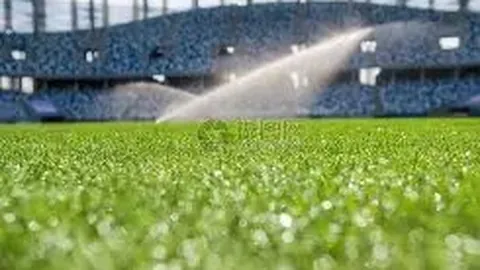 武磊海外之旅一周年